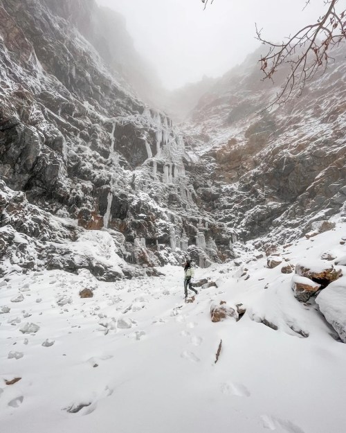 A climber stands in a snowy landscape with icy waterfalls cascading down rocky cliffs in a misty atmosphere.