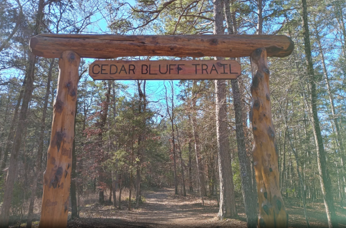 Wooden sign reading "Cedar Bluff Trail" at the entrance of a wooded path surrounded by trees.