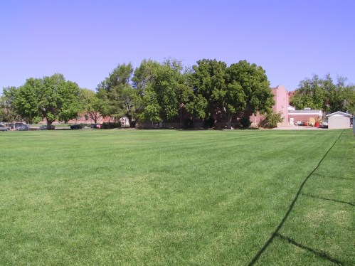 A wide, green grassy field with trees and a building in the background under a clear blue sky.