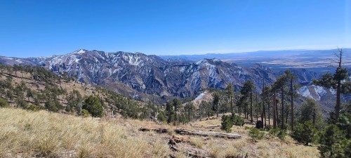 A panoramic view of rugged mountains and valleys under a clear blue sky, with scattered trees in the foreground.
