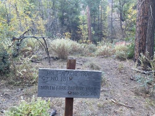 Wooden signpost indicating trails: Holt-Apache Trail No. 181 and North Fork Big Dry Trail No. 225, surrounded by trees.