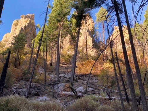 A rocky landscape with tall trees and autumn foliage under a clear blue sky.