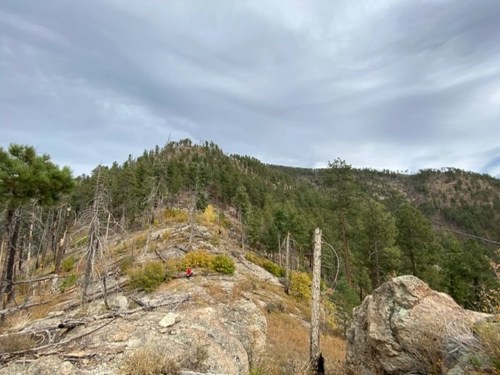 A rocky landscape with sparse trees and a distant hill under a cloudy sky.