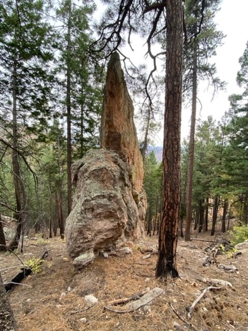 A tall, pointed rock formation surrounded by trees in a forested area. Pine trees and forest floor visible.