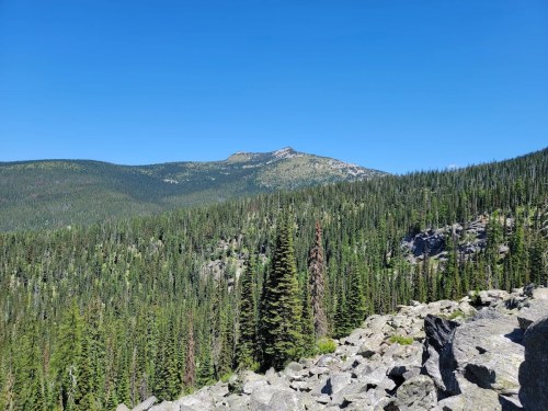 A scenic view of a dense forested mountain landscape under a clear blue sky. Rocky terrain in the foreground.
