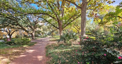 A scenic park pathway lined with trees and colorful flowers, showcasing vibrant autumn foliage.