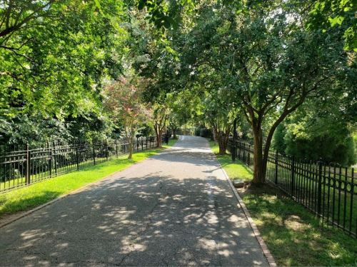 A serene pathway lined with trees and a black fence, bathed in sunlight, creating a peaceful outdoor scene.