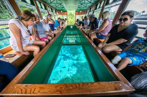 A group of people sitting on a boat, observing underwater life through a glass-bottomed viewing area.