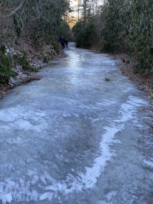 A frozen path through a wooded area, with two people walking in the distance.