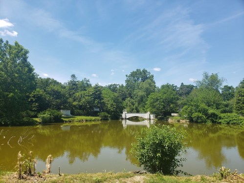 A serene pond surrounded by lush greenery, featuring a small white bridge in the distance under a clear blue sky.