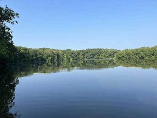 A calm lake surrounded by lush green trees under a clear blue sky, with gentle ripples on the water's surface.