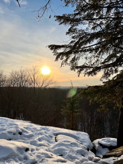 A serene winter landscape with snow-covered ground, trees, and a sunset illuminating the horizon.