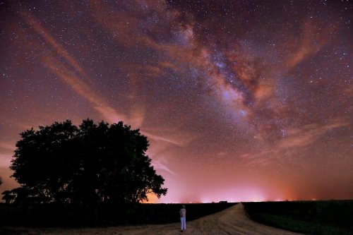 A person stands by a tree, gazing up at a starry sky filled with the Milky Way and colorful clouds.