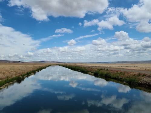 A serene landscape featuring a calm river reflecting fluffy clouds and blue skies, surrounded by dry grasslands.