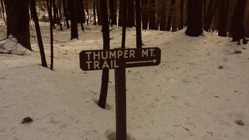 Signpost for Thumper Mountain Trail in a snowy forest, with trees in the background.