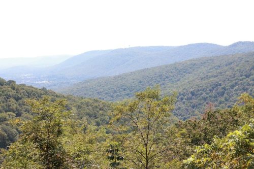 A panoramic view of rolling green mountains under a bright sky, with trees in the foreground and valleys in the distance.