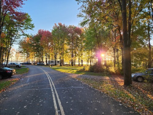 A scenic road lined with colorful autumn trees, sunlight filtering through, and parked cars along the side.
