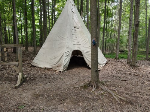 A canvas teepee tent stands among trees in a wooded area, surrounded by forest floor and greenery.