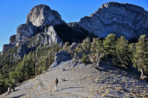 A hiker and a dog traverse a rocky trail with towering mountains and trees in the background under a clear blue sky.
