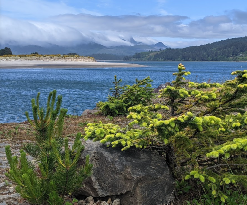 A serene lakeside view with lush green trees, rocky foreground, and misty mountains in the background under a cloudy sky.