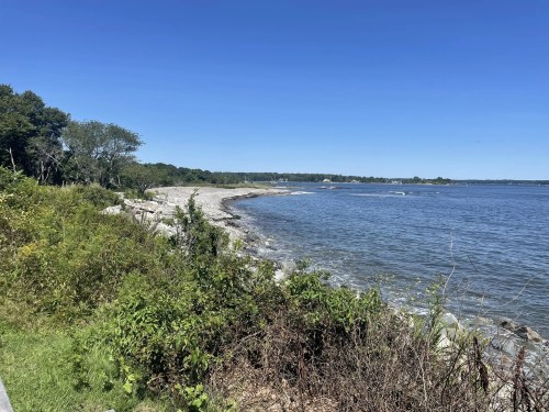A serene shoreline with rocky beach, lush greenery, and clear blue sky over calm water.