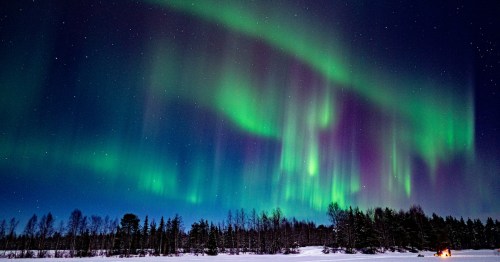 Vibrant auroras dance in the night sky over a snowy landscape, with trees silhouetted against the colorful display.