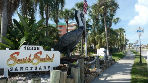 A large pelican statue stands beside a sign for Seaside Seabird Sanctuary, surrounded by palm trees and a sunny sky.