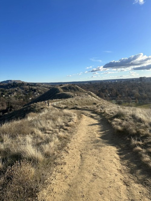 A dirt path winds through grassy hills under a clear blue sky, with distant hills and a town visible in the background.
