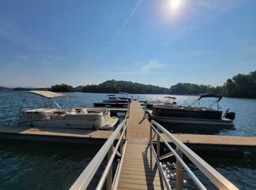 A sunny day at a dock with several boats moored on a calm lake surrounded by green trees.