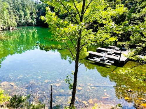 A serene lake surrounded by trees, with wooden docks and clear green water reflecting the landscape.