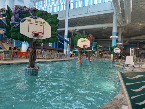 Indoor water park featuring basketball hoops on trees, colorful slides, and a pool area with swimmers.