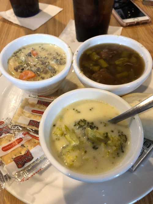 Three bowls of soup on a plate: creamy vegetable, broccoli cheddar, and a dark broth with greens, alongside crackers.