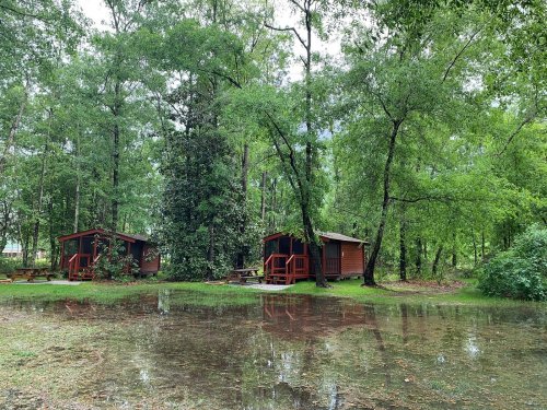 Two cabins surrounded by lush greenery, partially submerged in water after rain, creating a serene, reflective scene.