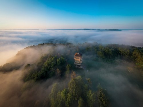 A wooden lookout tower stands on a hill surrounded by dense fog and lush greenery under a clear blue sky.