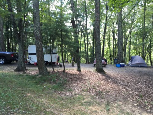 A campsite in a wooded area with a tent, a camper van, and picnic setup among trees.