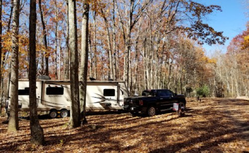 A camper and black truck parked among trees with autumn leaves in a serene forest setting.