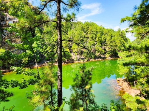 Lush green trees surround a serene, reflective pond under a clear blue sky.