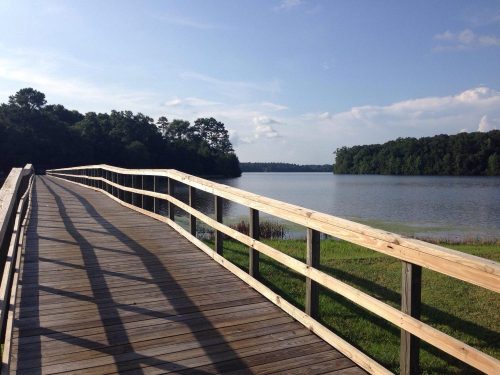 A wooden boardwalk curves along a serene lake, surrounded by lush greenery under a clear blue sky.