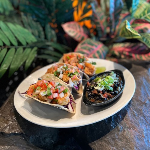 Three shrimp tacos topped with pico de gallo and onions, served with a side of black beans on a white plate.