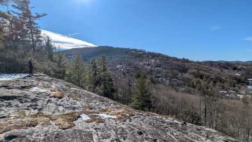 A person stands on a rocky outcrop, overlooking a valley with trees and distant hills under a clear blue sky.