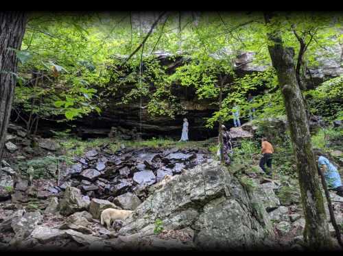 A lush forest scene with a waterfall, rocks, and people exploring near a cave entrance, accompanied by a dog.