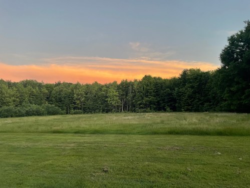 A serene landscape featuring a grassy field and a forest under a colorful sunset sky.