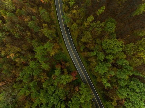 Aerial view of a winding road surrounded by vibrant green and autumn-colored trees.