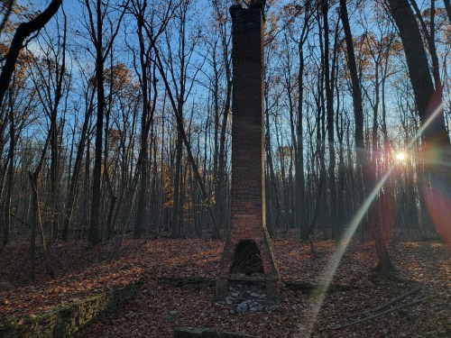 A tall, brick chimney stands in a wooded area with autumn leaves, sunlight filtering through the trees.