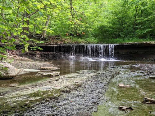 A serene waterfall cascades over rocks into a calm pool, surrounded by lush green trees and foliage.