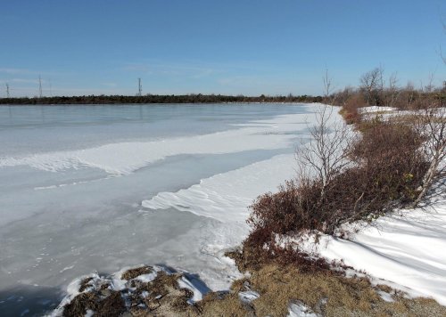 A frozen lake with snow-covered banks and sparse vegetation under a clear blue sky.