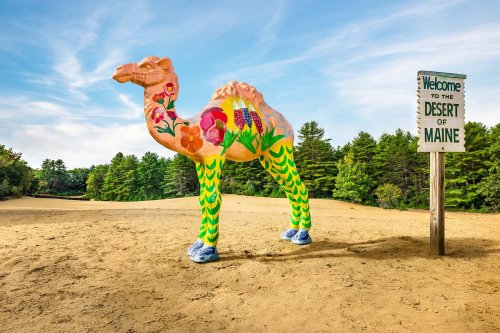 A colorful, painted camel stands in a sandy area with a sign that reads "Welcome to the Desert of Maine."