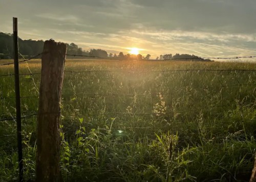 A serene sunset over a grassy field, framed by a wooden fence post and soft clouds in the sky.