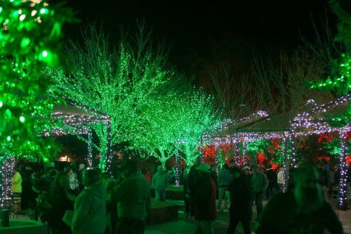 A festive scene with green and white lights illuminating trees and a crowd enjoying a nighttime event.