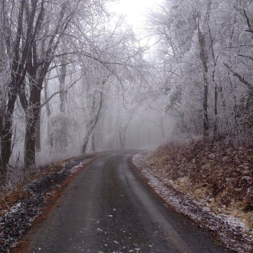 A winding, icy road surrounded by frosted trees in a foggy winter landscape.